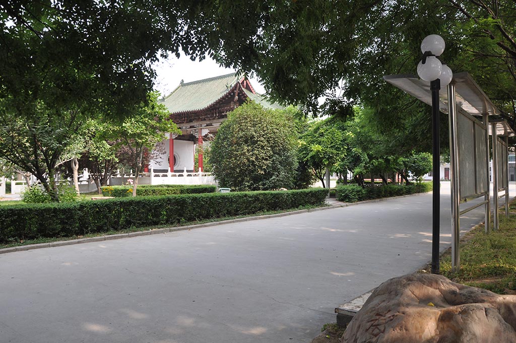 校园小路