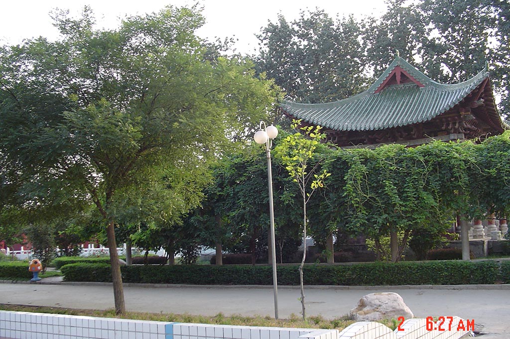 学校绿化一角